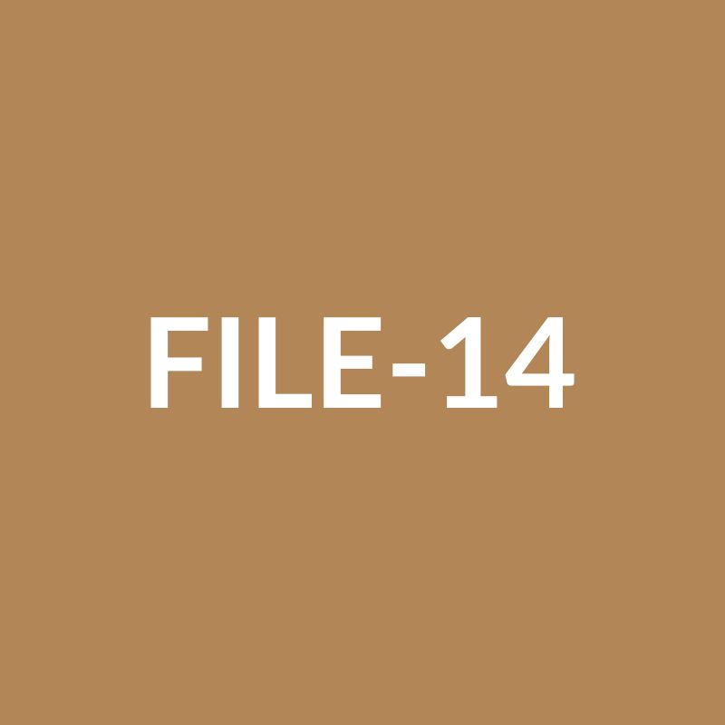 SEO Alpin Test Article 19